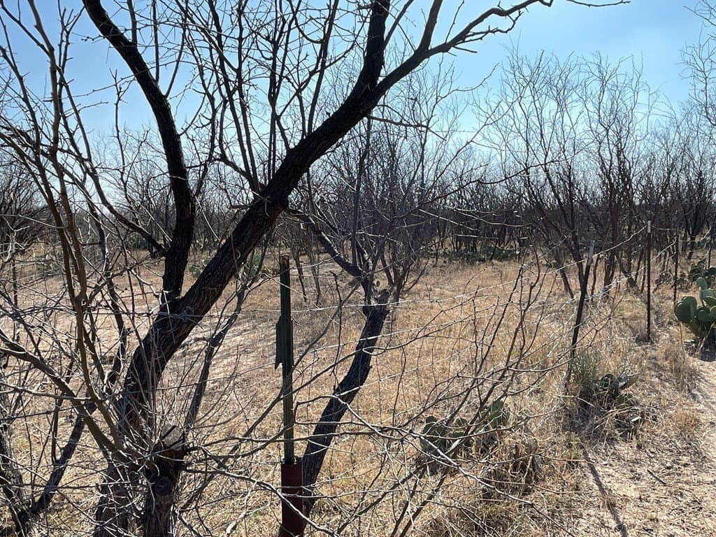18.08 acres in Irion County - photo 9