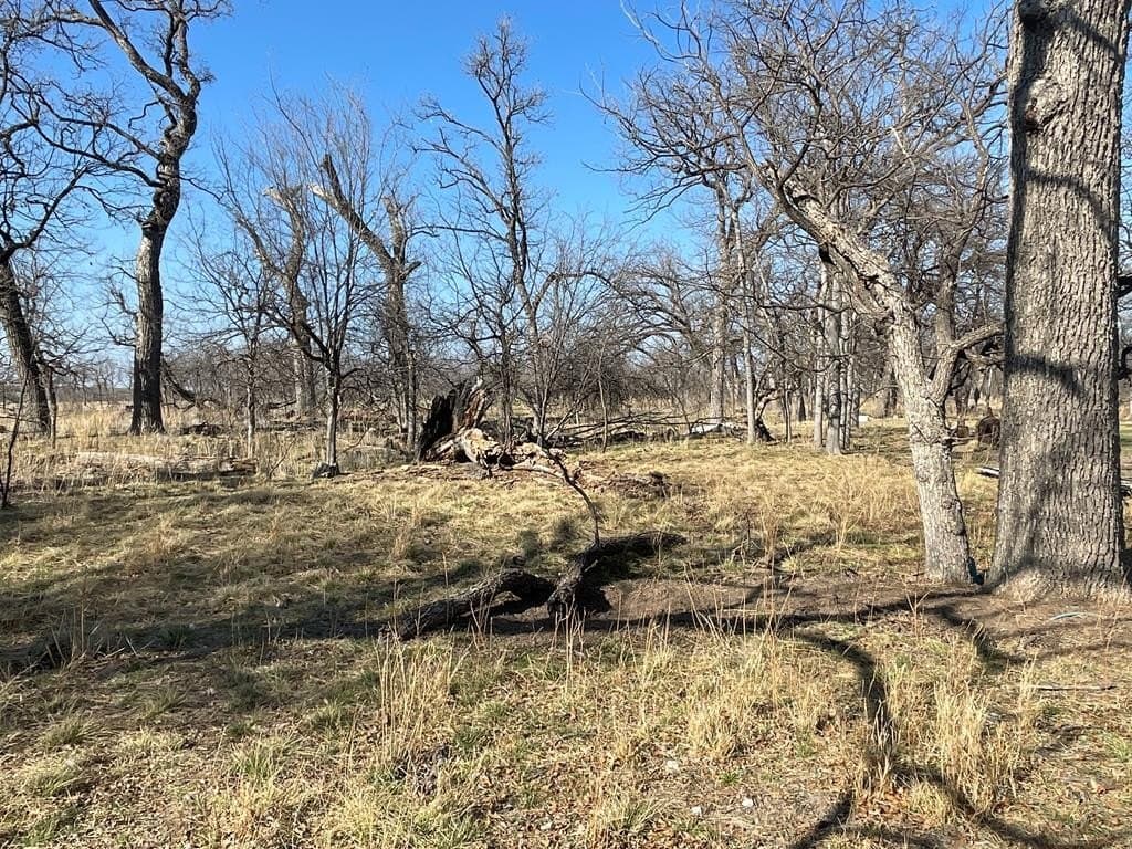 18.08 acres in Irion County - photo 8