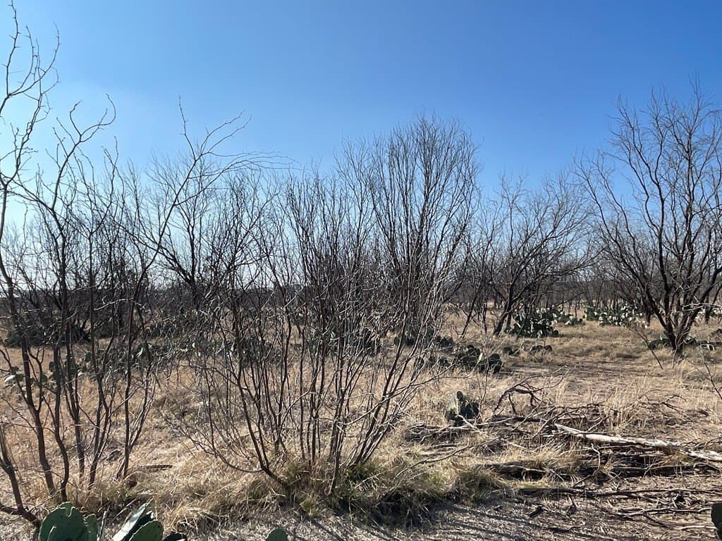 18.08 acres in Irion County - photo 10