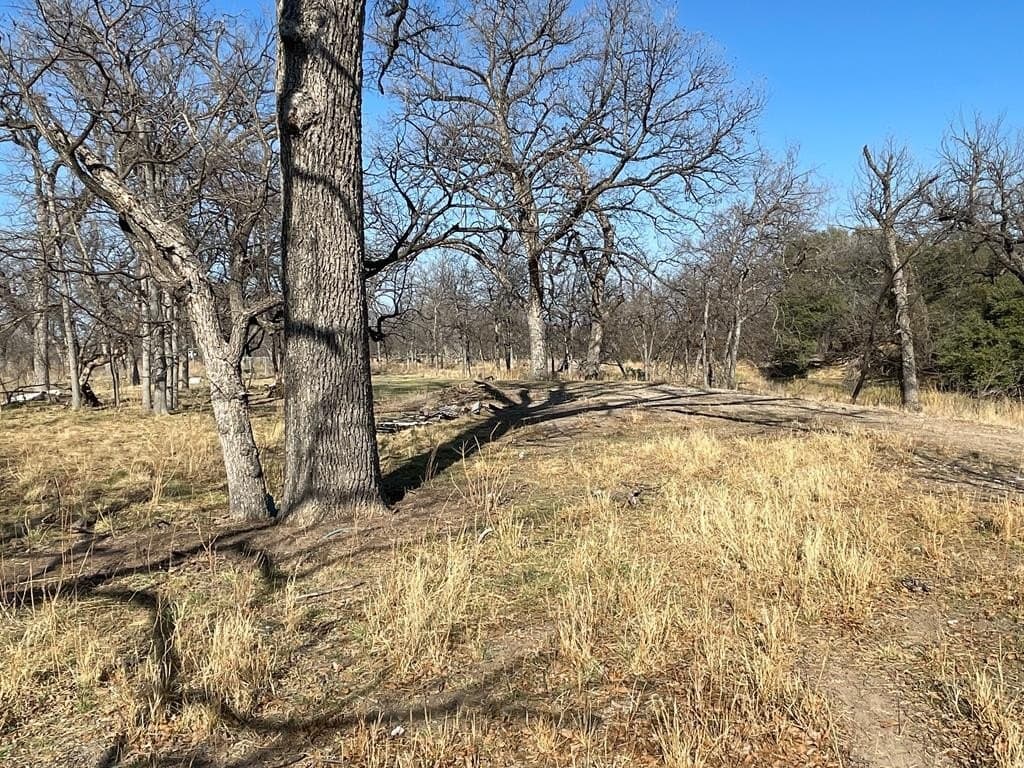 18.08 acres in Irion County - photo 6