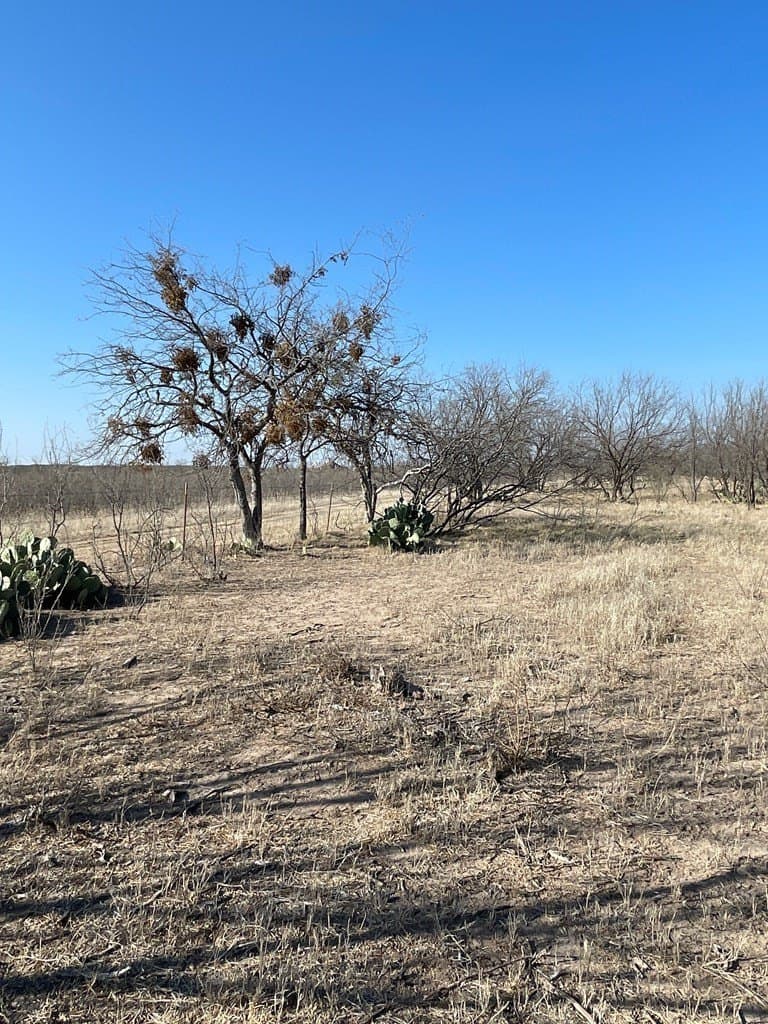 18.08 acres in Irion County - photo 13