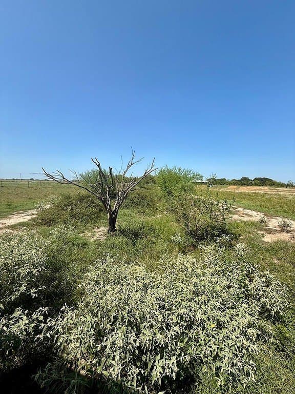 13.85 acres in Colorado County - photo 7