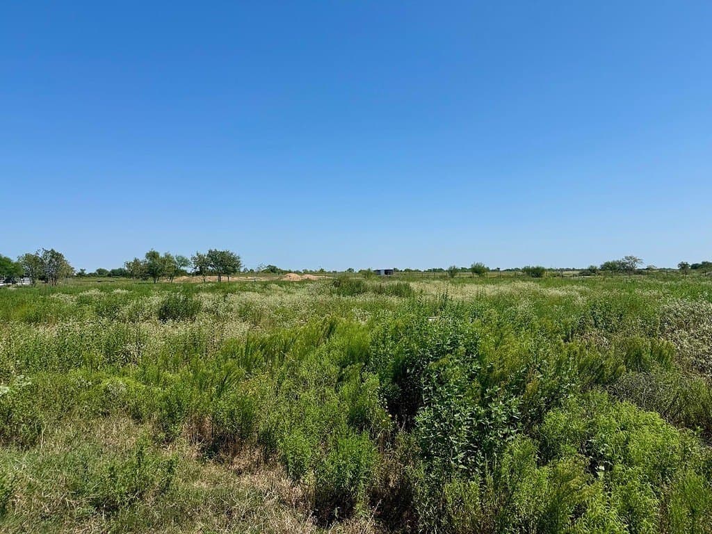 13.85 acres in Colorado County - photo 6