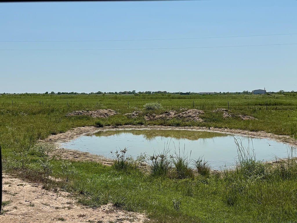 13.85 acres in Colorado County - photo 3
