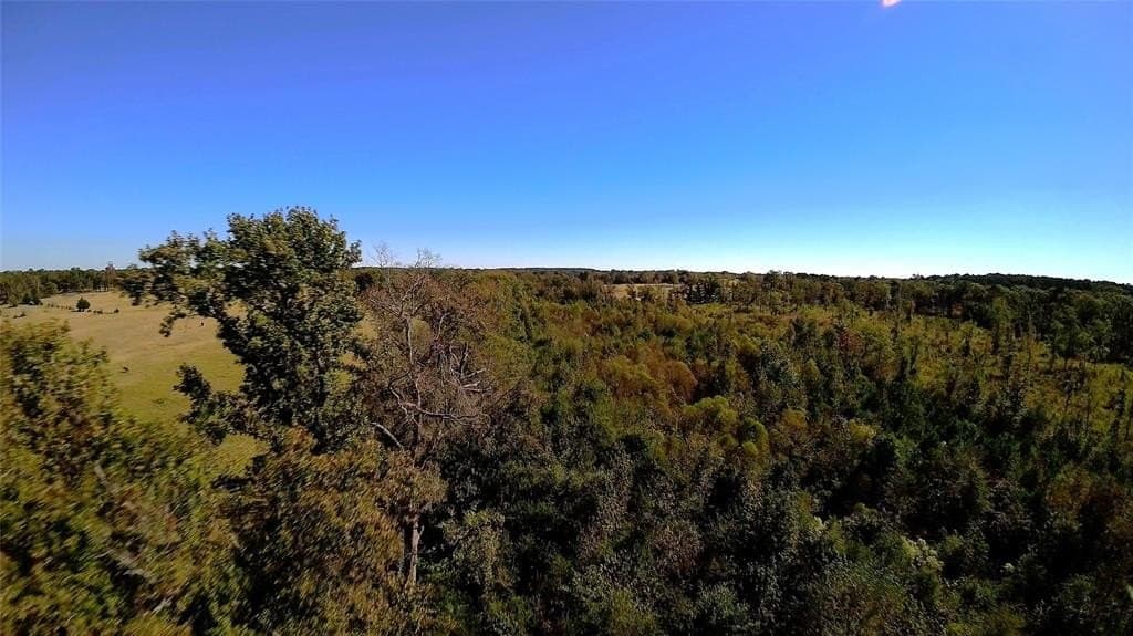 27.02 acres in Upshur County - photo 19