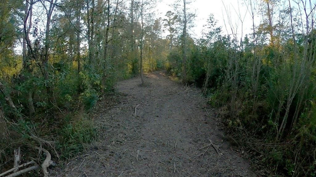 27.02 acres in Upshur County - photo 8