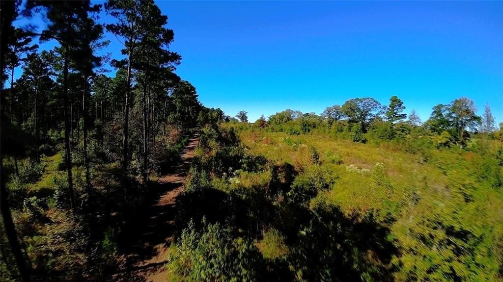 27.02 acres in Upshur County - photo 5