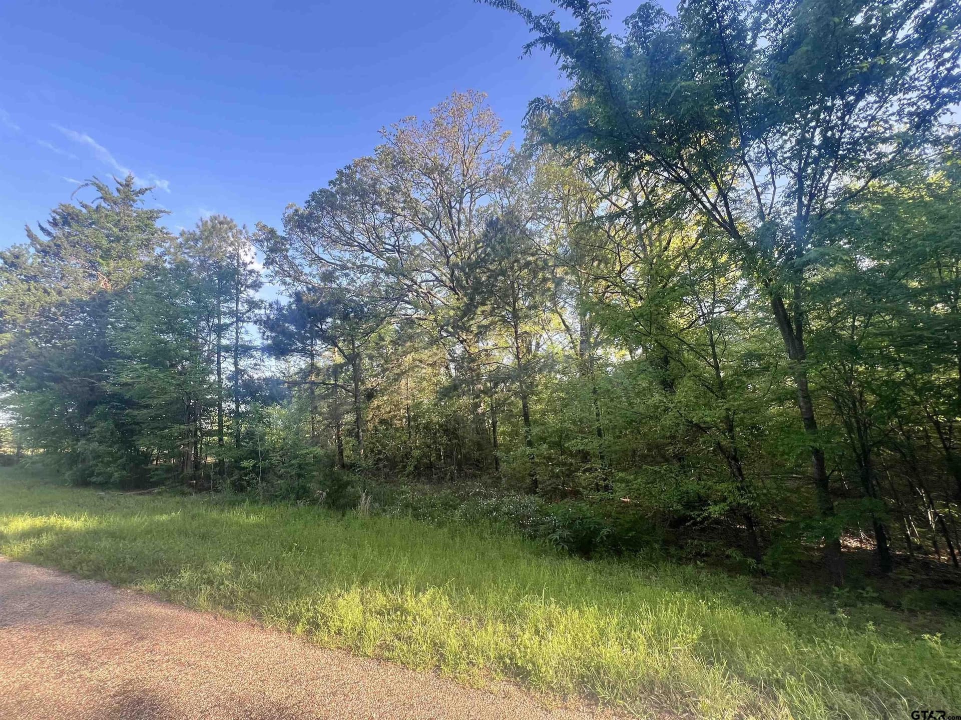 2.6 acres in Titus County - photo 3
