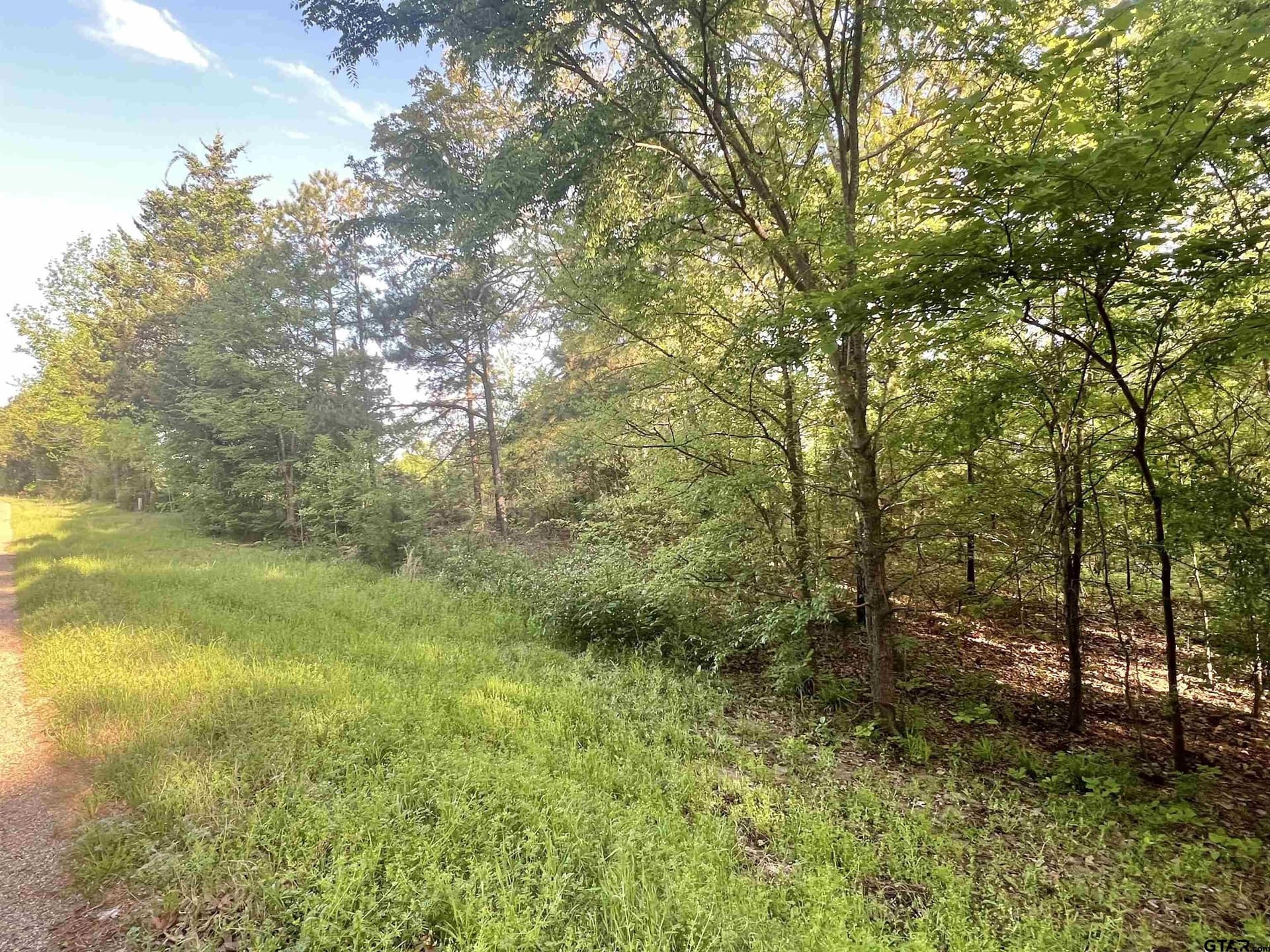 2.6 acres in Titus County - photo 2