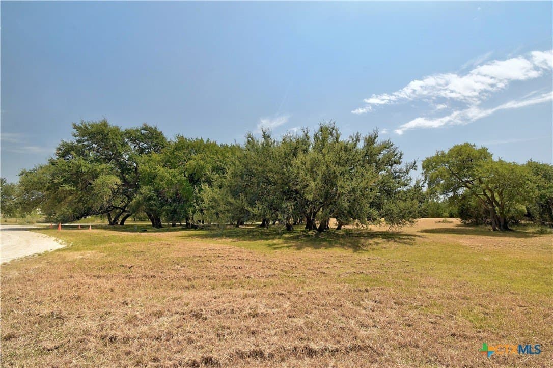 10 acres in Hays County - photo 16