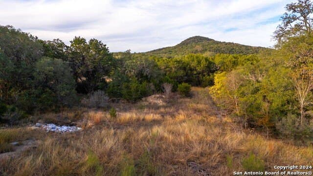 10 acres in Bandera County - photo 17