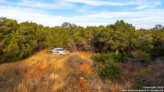 10 acres in Bandera County - photo 16