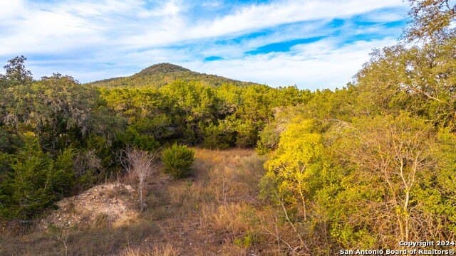 10 acres in Bandera County - photo 6