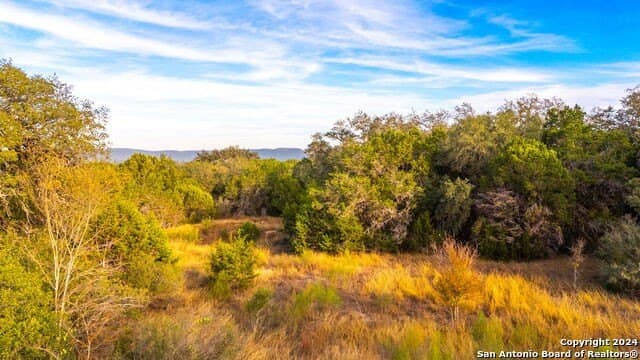10 acres in Bandera County - photo 2
