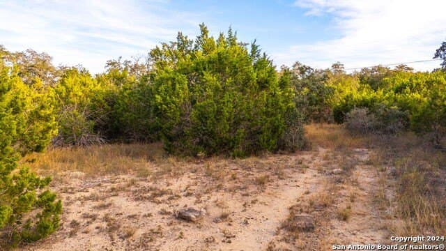 10 acres in Bandera County - photo 7
