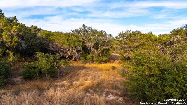 10 acres in Bandera County - photo 15
