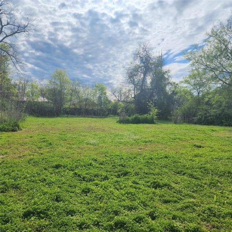 0.21 acres in Hunt County - photo 3