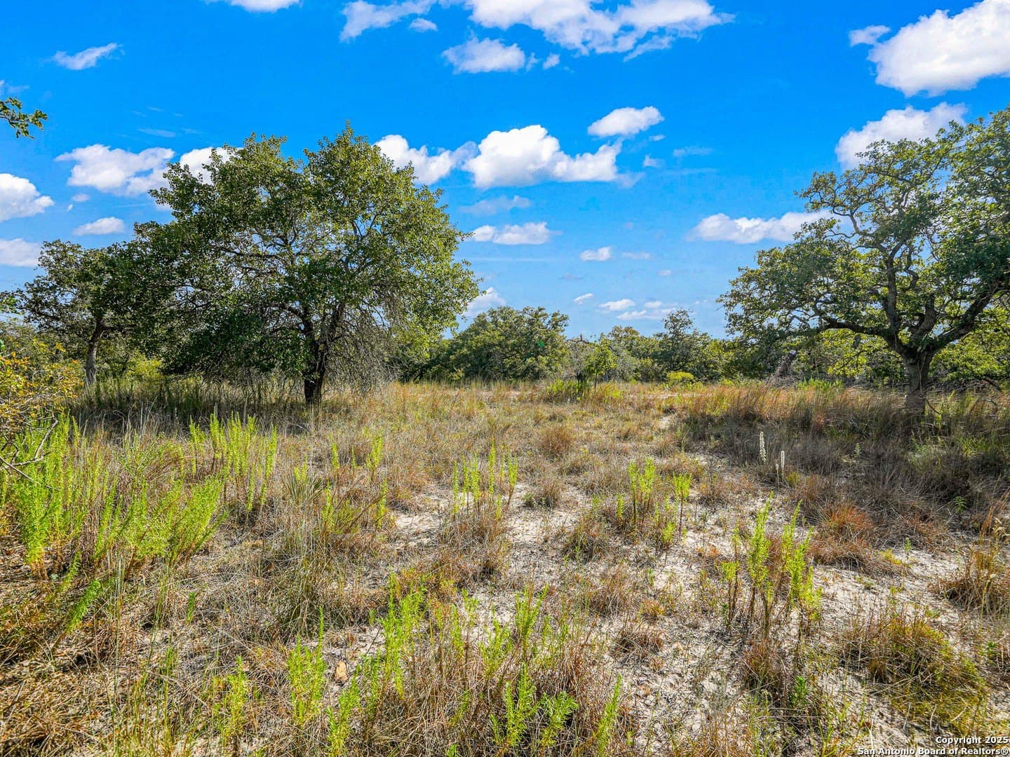 10.01 acres in Guadalupe County - photo 15