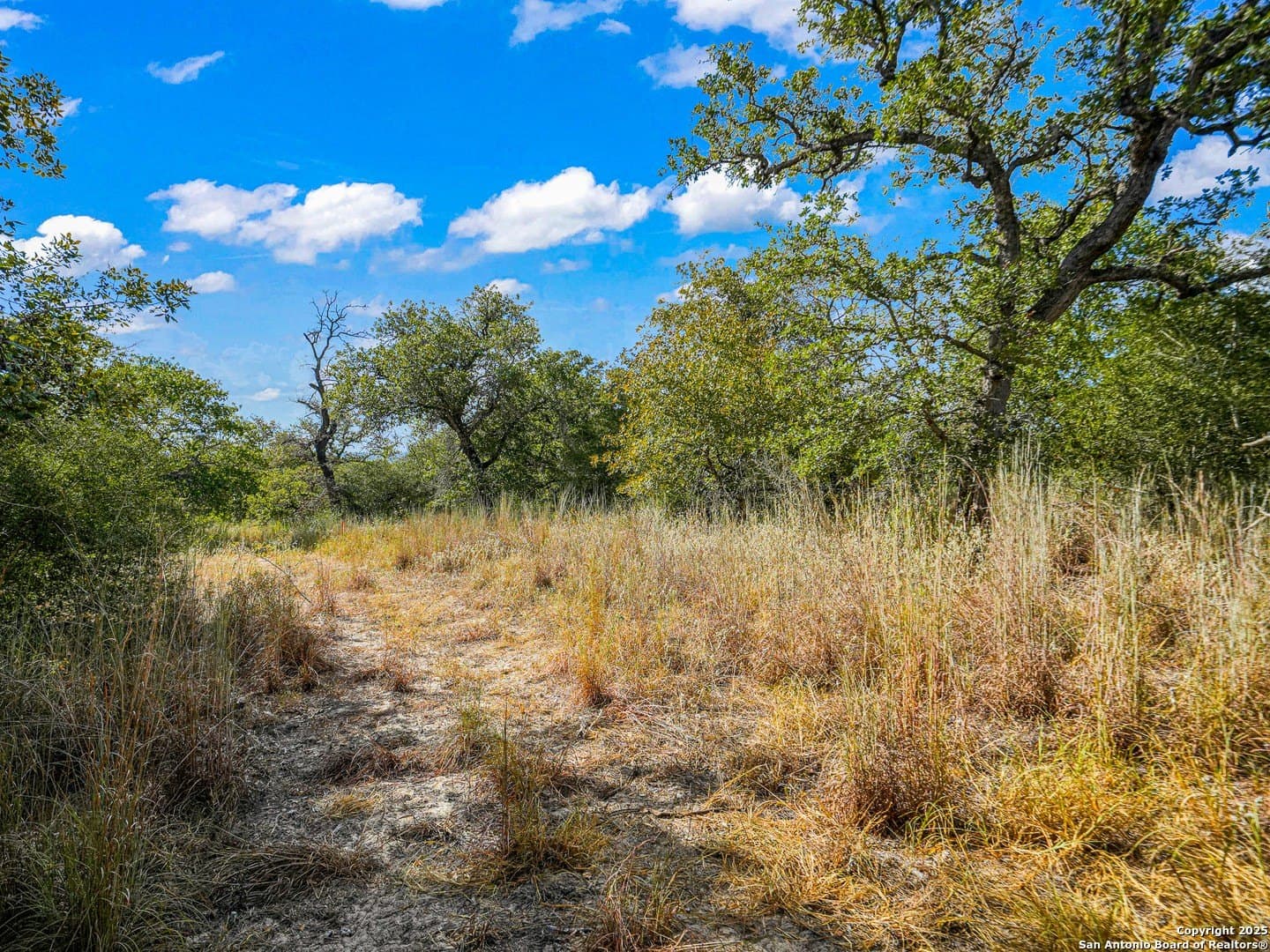 10.01 acres in Guadalupe County - photo 22