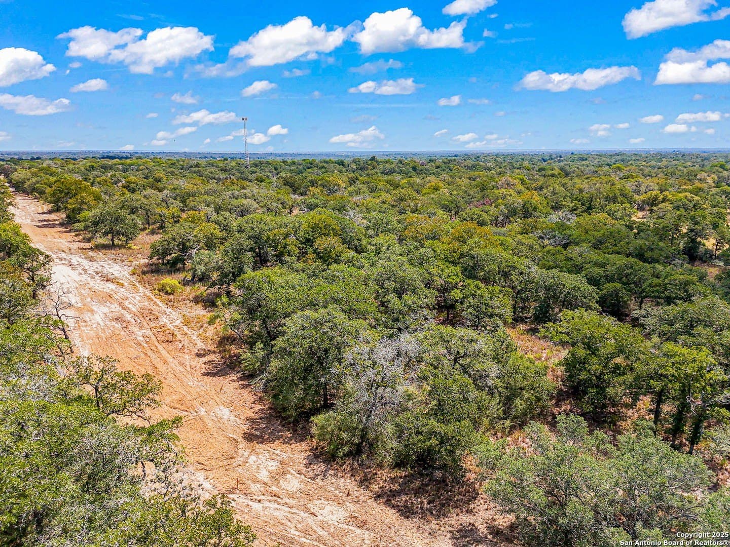 10.01 acres in Guadalupe County - photo 4