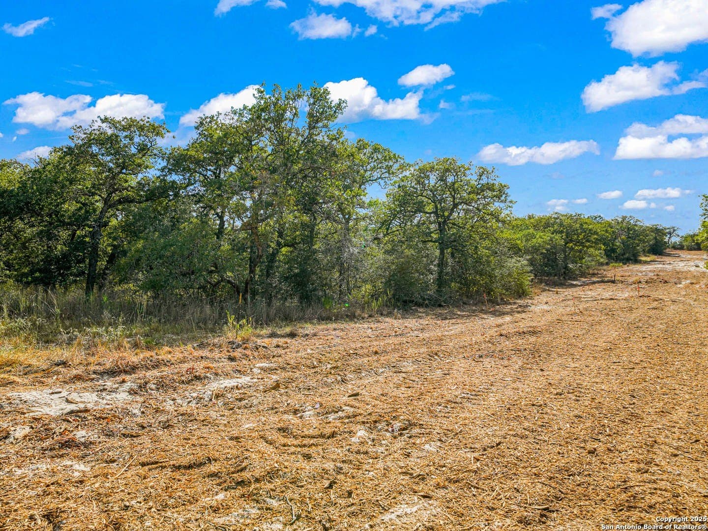 10.01 acres in Guadalupe County - photo 17