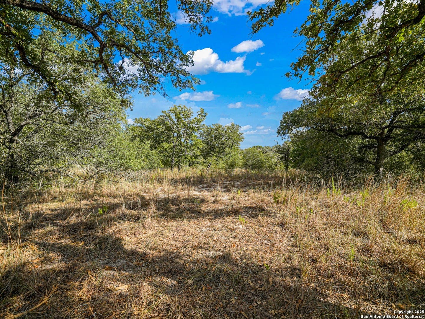 10.01 acres in Guadalupe County - photo 23