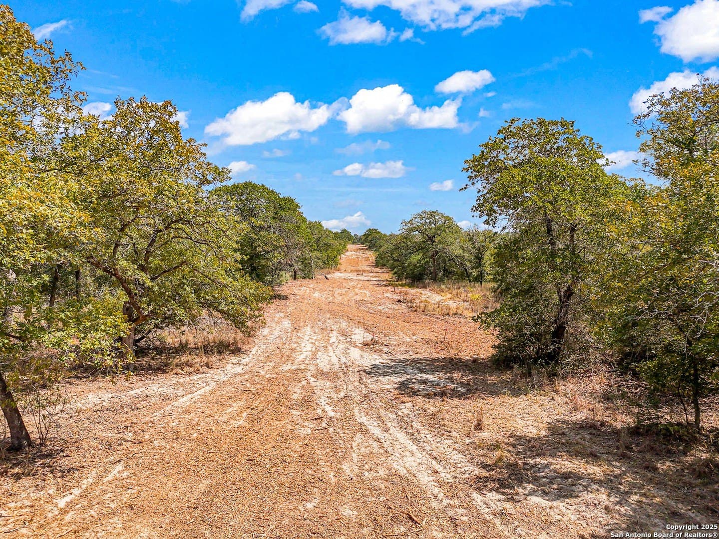 10.01 acres in Guadalupe County - photo 8