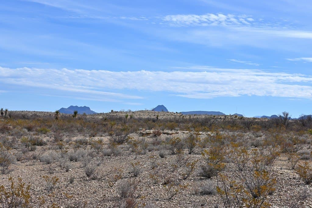 20 acres in Brewster County - photo 6