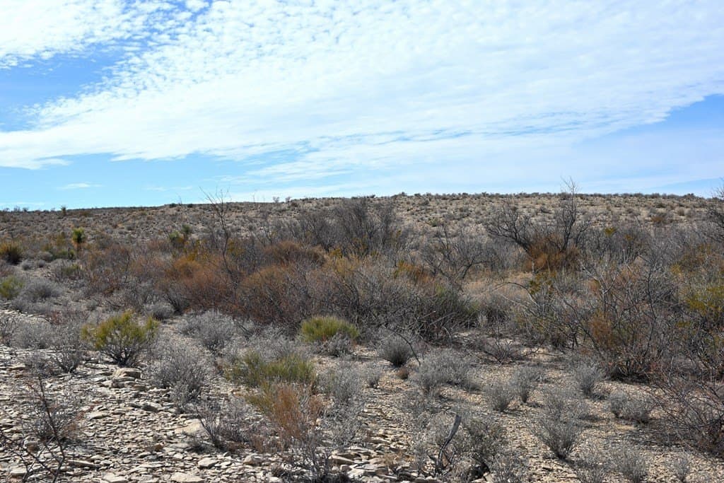 20 acres in Brewster County - photo 18