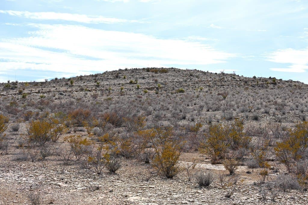 20 acres in Brewster County - photo 7