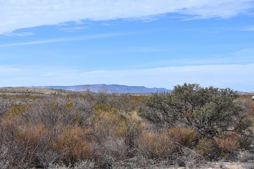 20 acres in Brewster County - photo 4