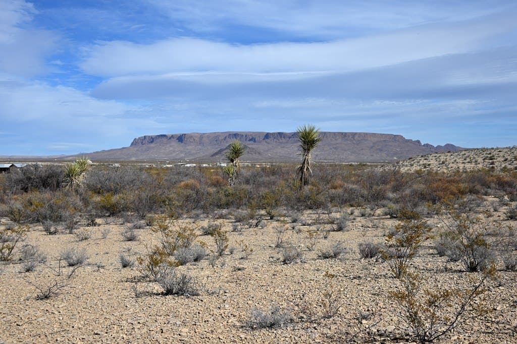 20 acres in Brewster County - photo 21
