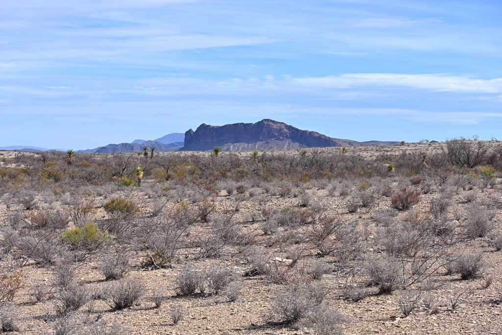 20 acres in Brewster County - photo 8