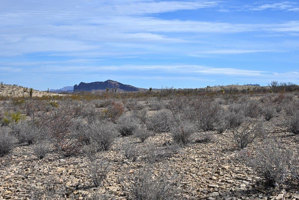 20 acres in Brewster County - photo 17