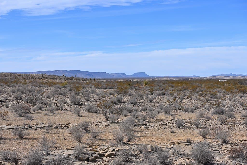 20 acres in Brewster County - photo 10