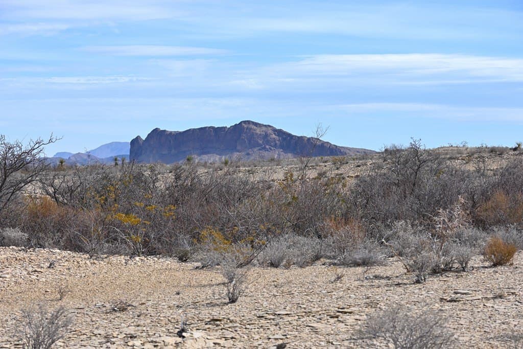 20 acres in Brewster County - photo 12