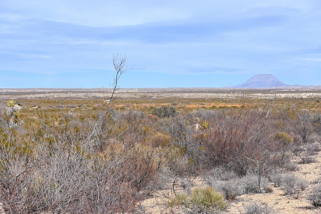 20 acres in Brewster County - photo 9