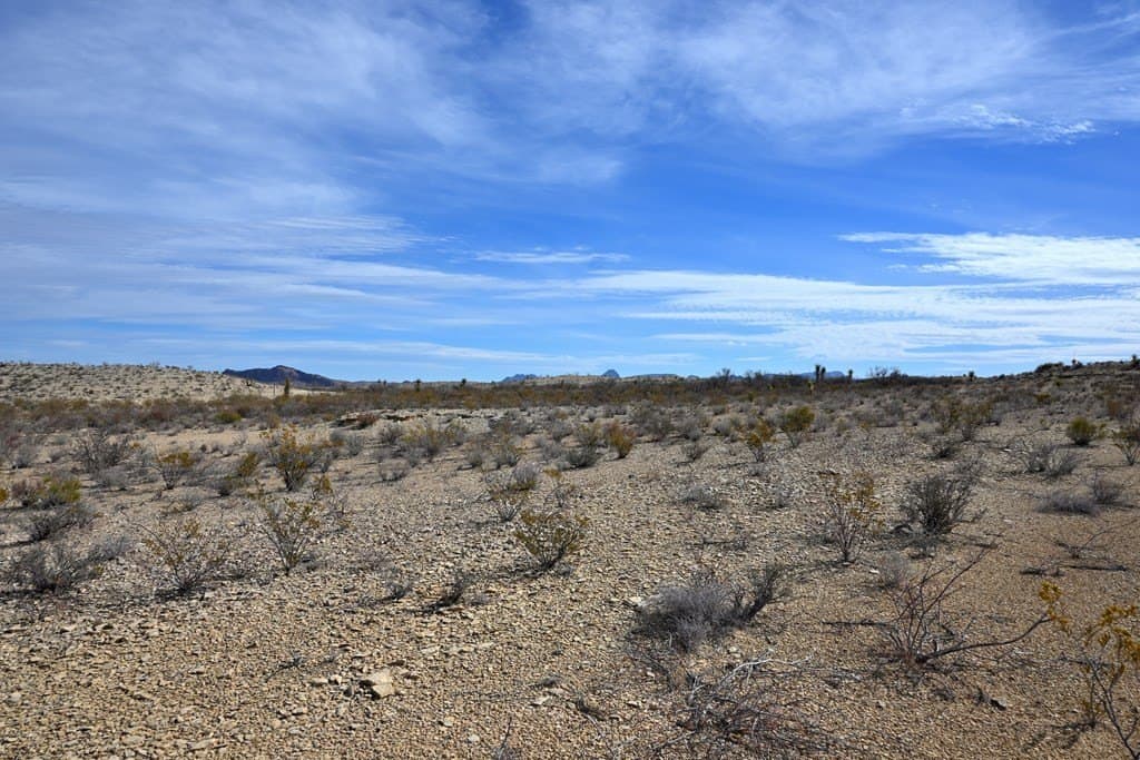 20 acres in Brewster County - photo 20