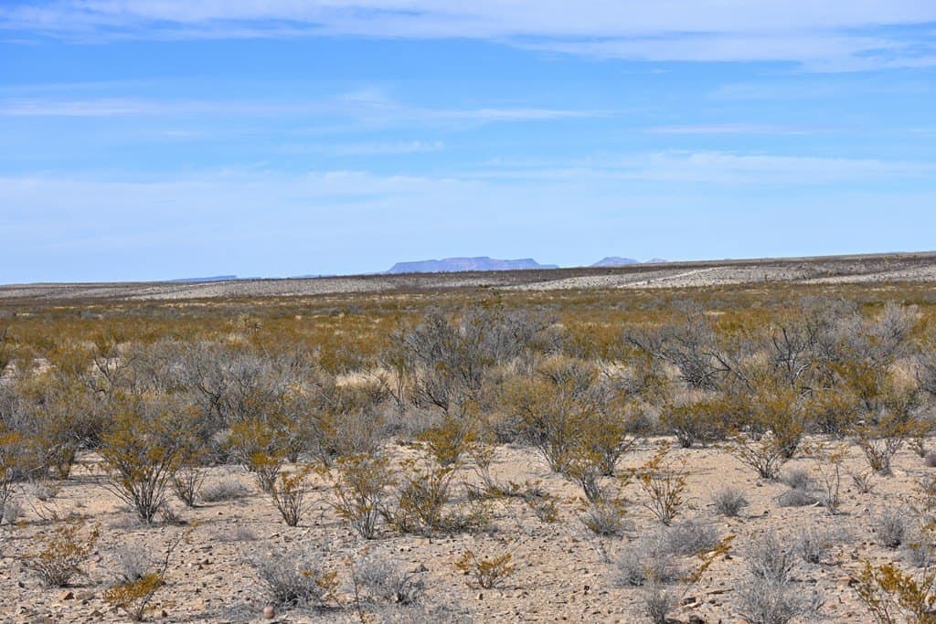 20 acres in Brewster County - photo 13
