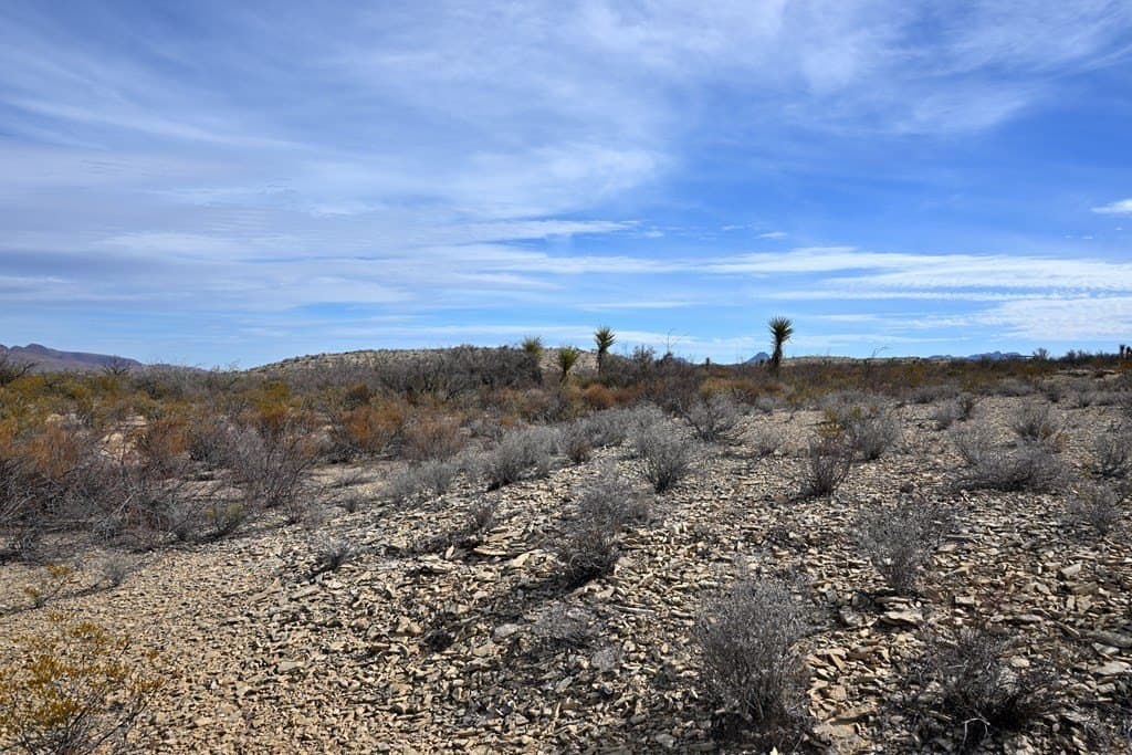20 acres in Brewster County - photo 16