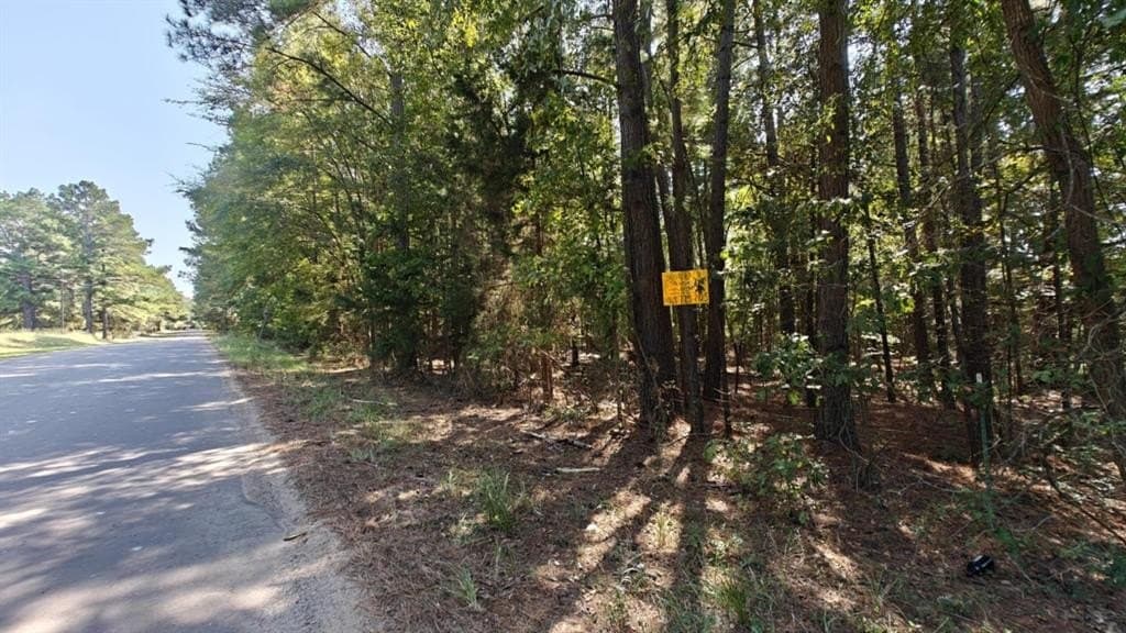 6.8 acres in Smith County - photo 2