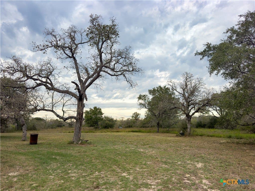 40 acres in Goliad County - photo 42