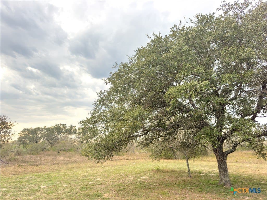40 acres in Goliad County - photo 41