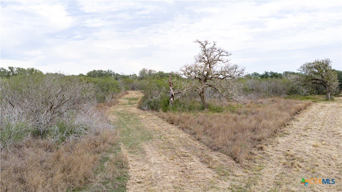 40 acres in Goliad County - photo 28