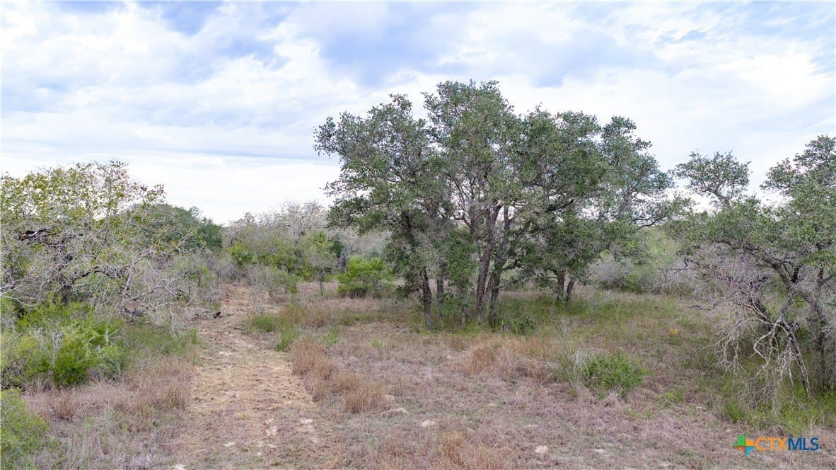 40 acres in Goliad County - photo 31