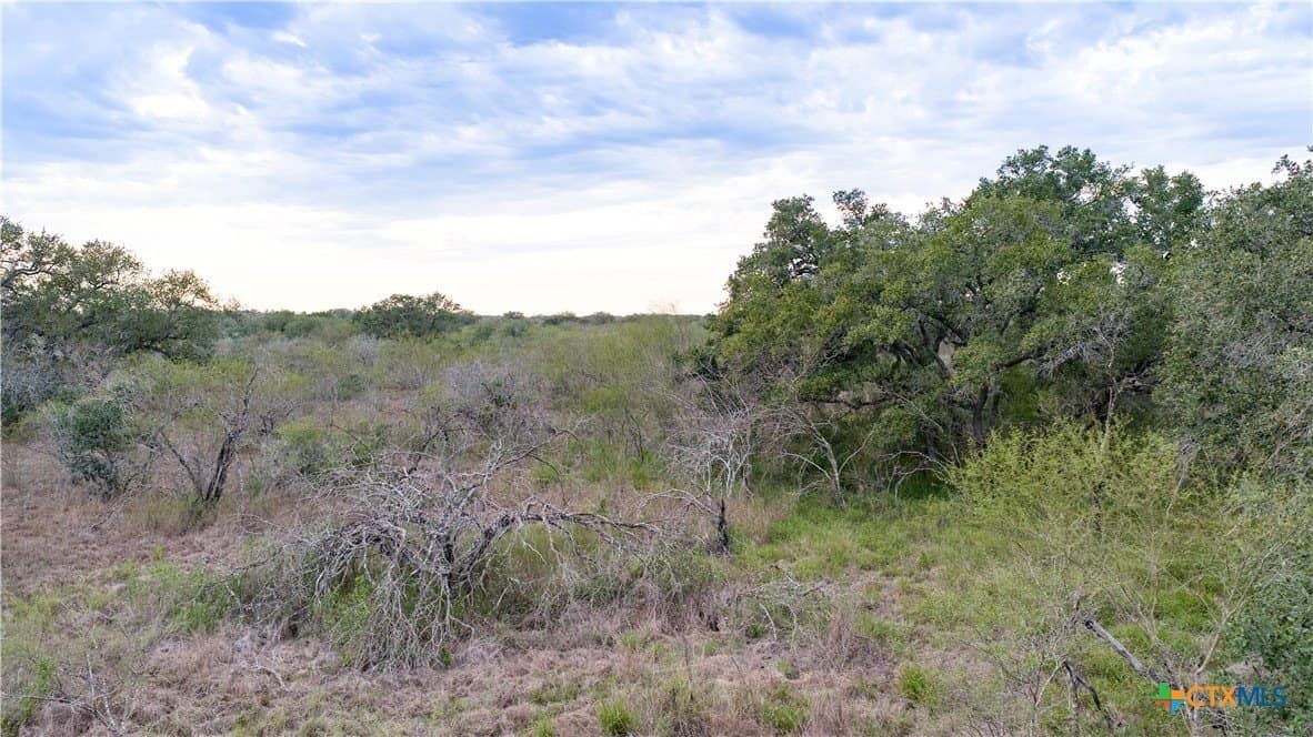 40 acres in Goliad County - photo 36