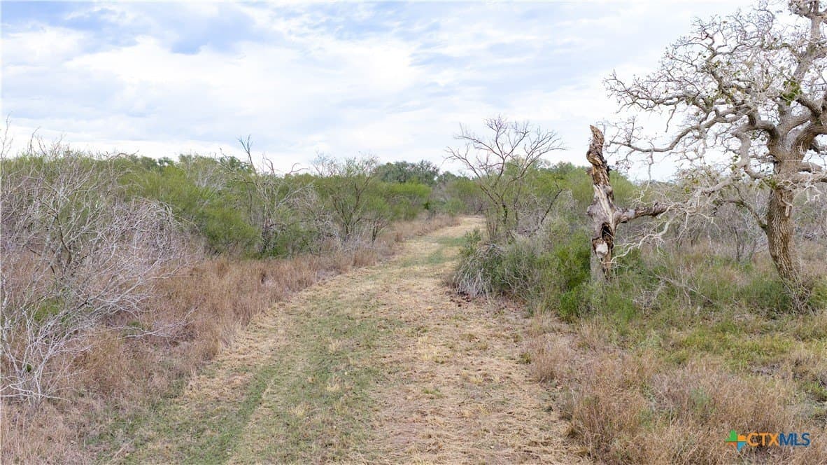 40 acres in Goliad County - photo 33