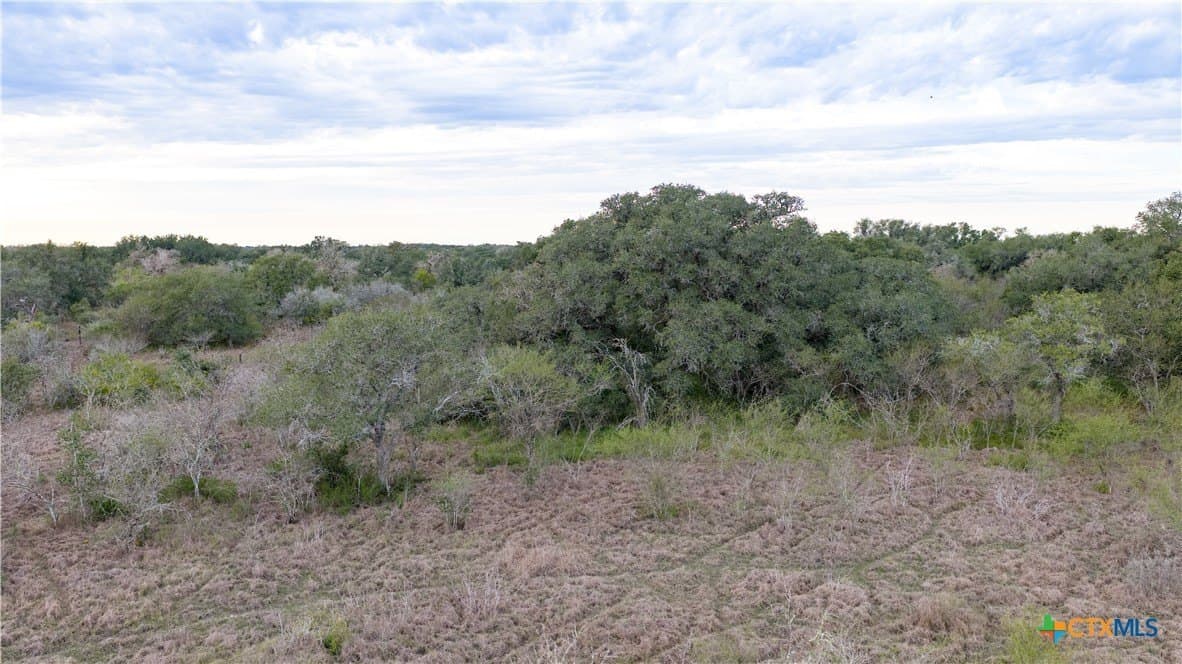 40 acres in Goliad County - photo 35