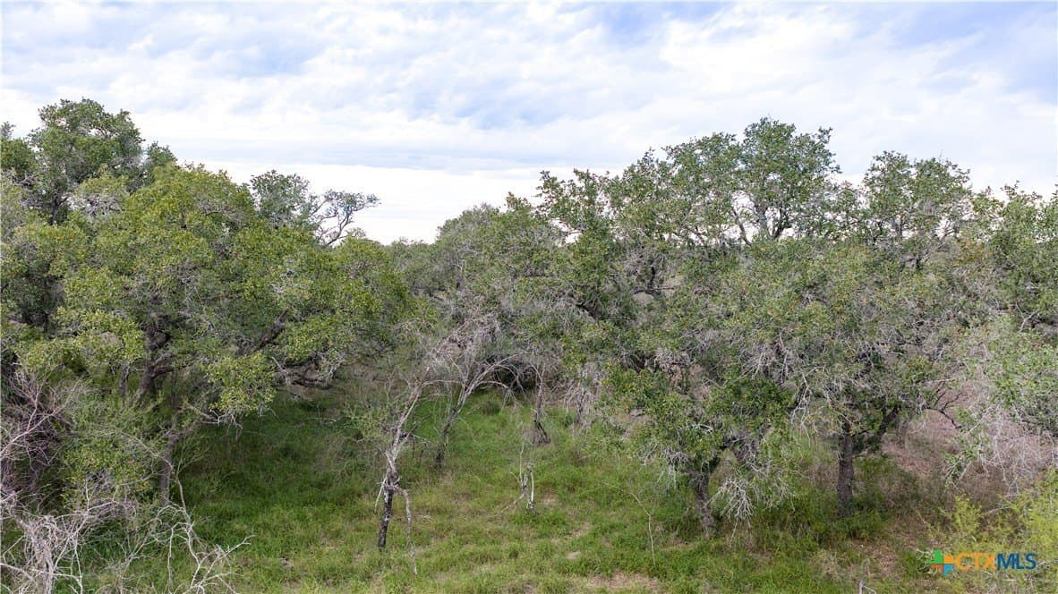 40 acres in Goliad County - photo 37