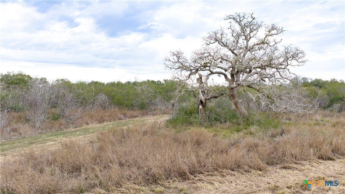 40 acres in Goliad County - photo 32